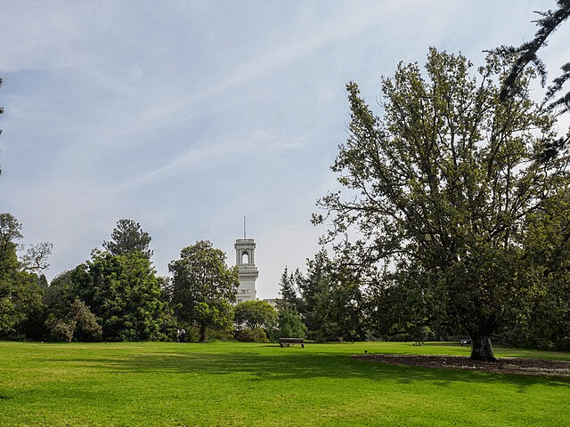 Grassy field with trees and Melbourne clock tower