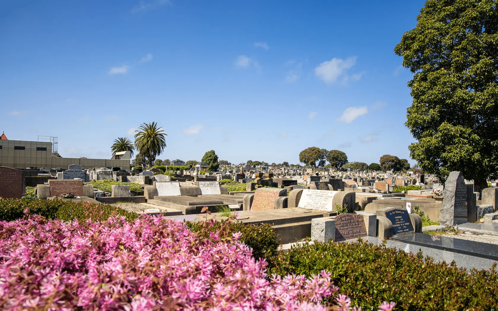 Historic bayside cemetery with headstones and flowers