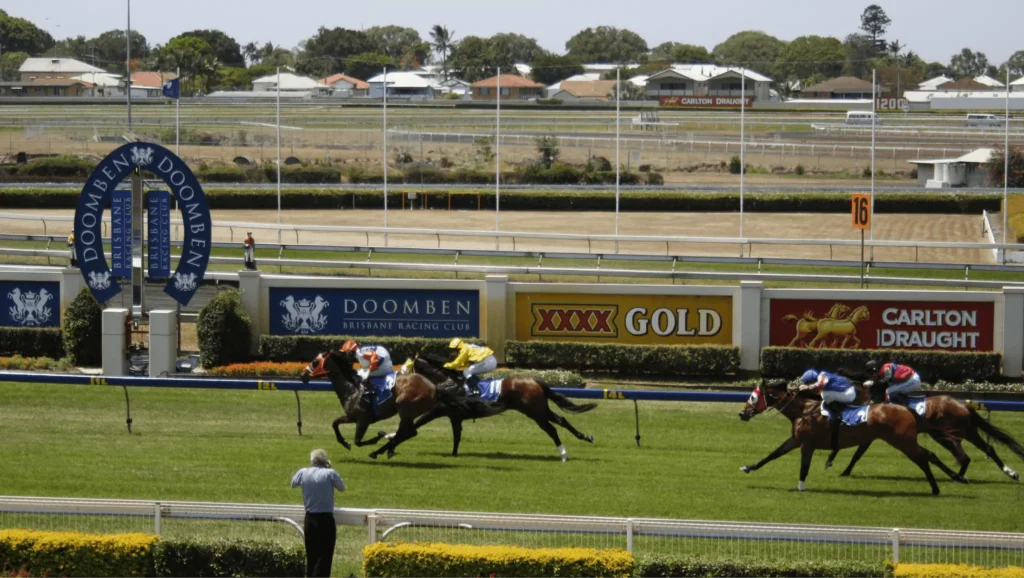 Horses racing on a track during autumn in Brisbane