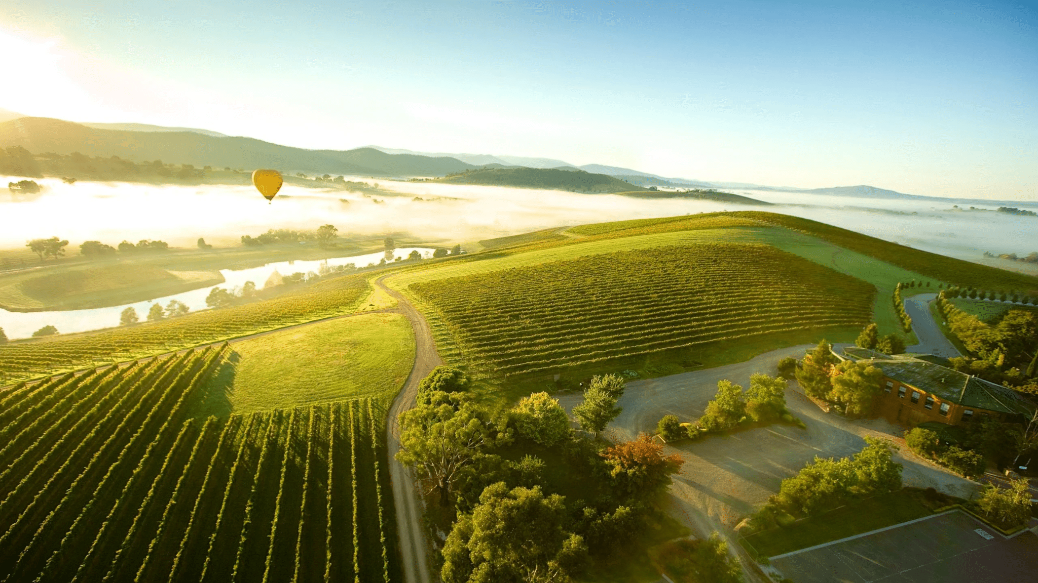 Hot air balloon over green field on a Melbourne day trip