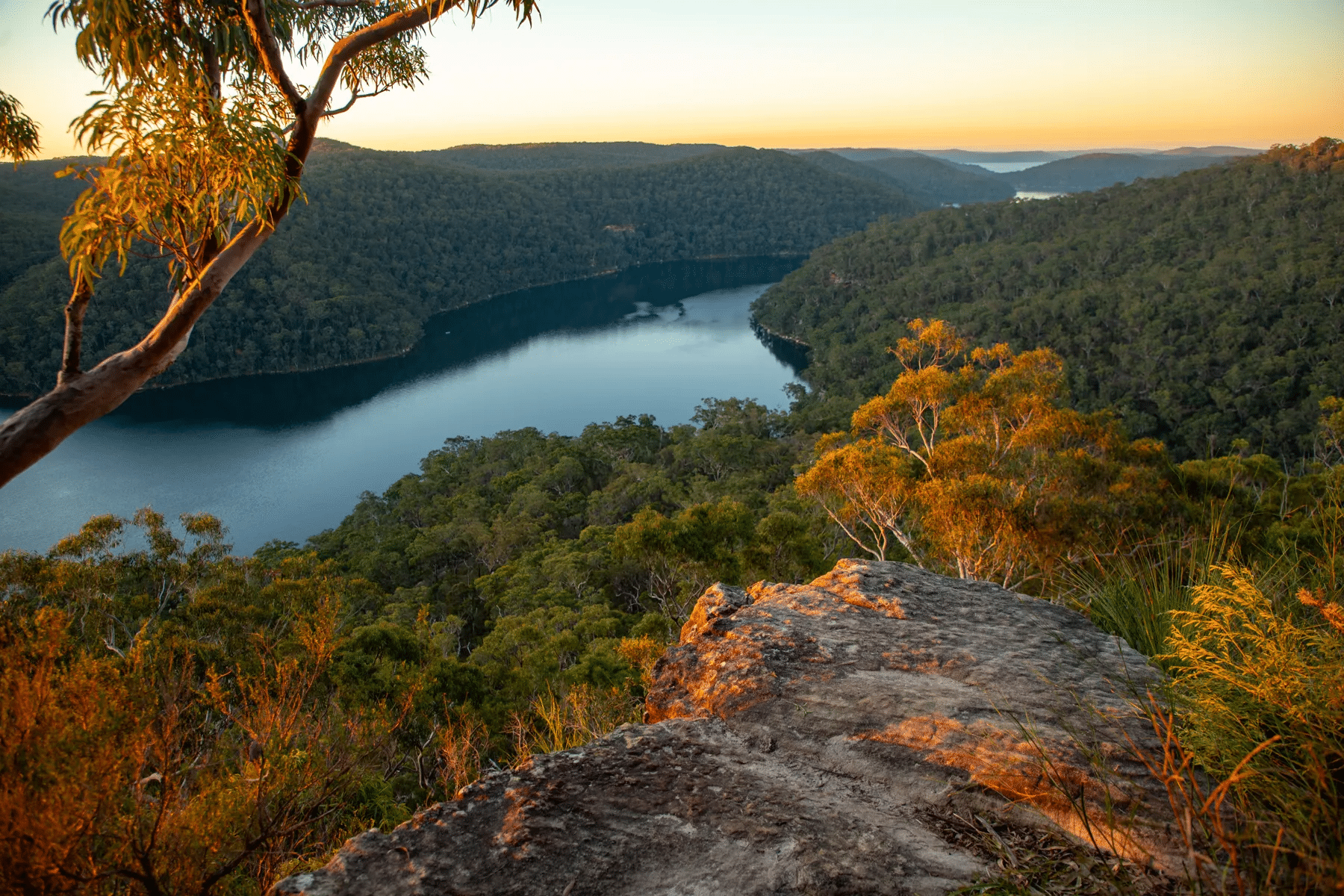 Lake surrounded by trees in Sydney eco tourism spot
