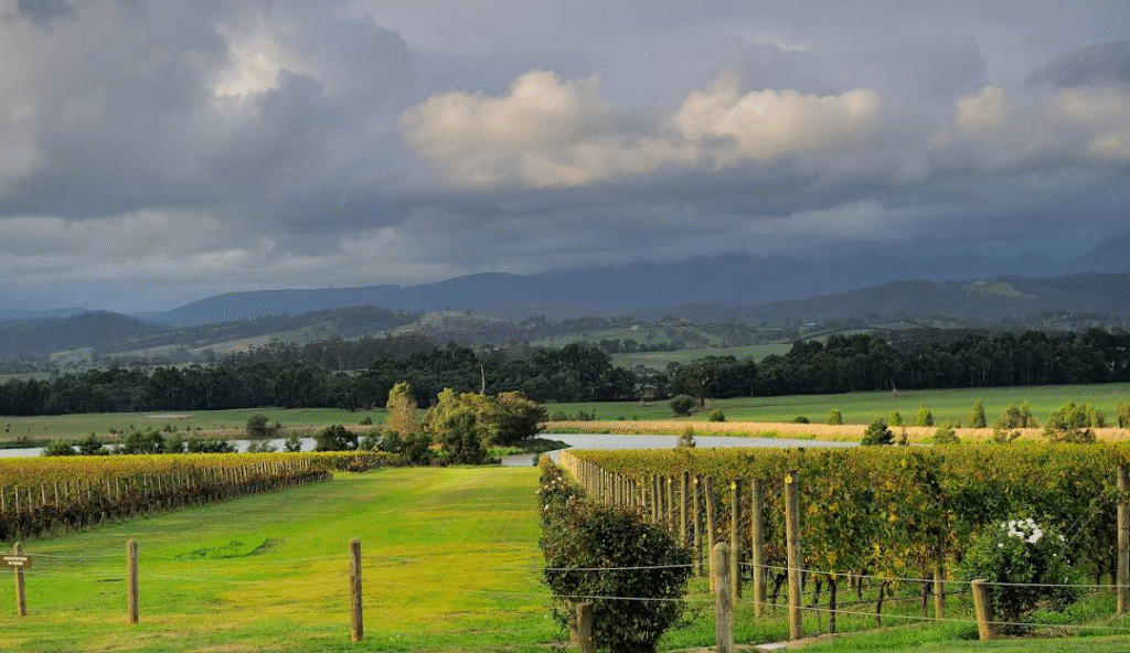 Melbourne Spring Travel: Top Destinations to Visit with Bus Hire