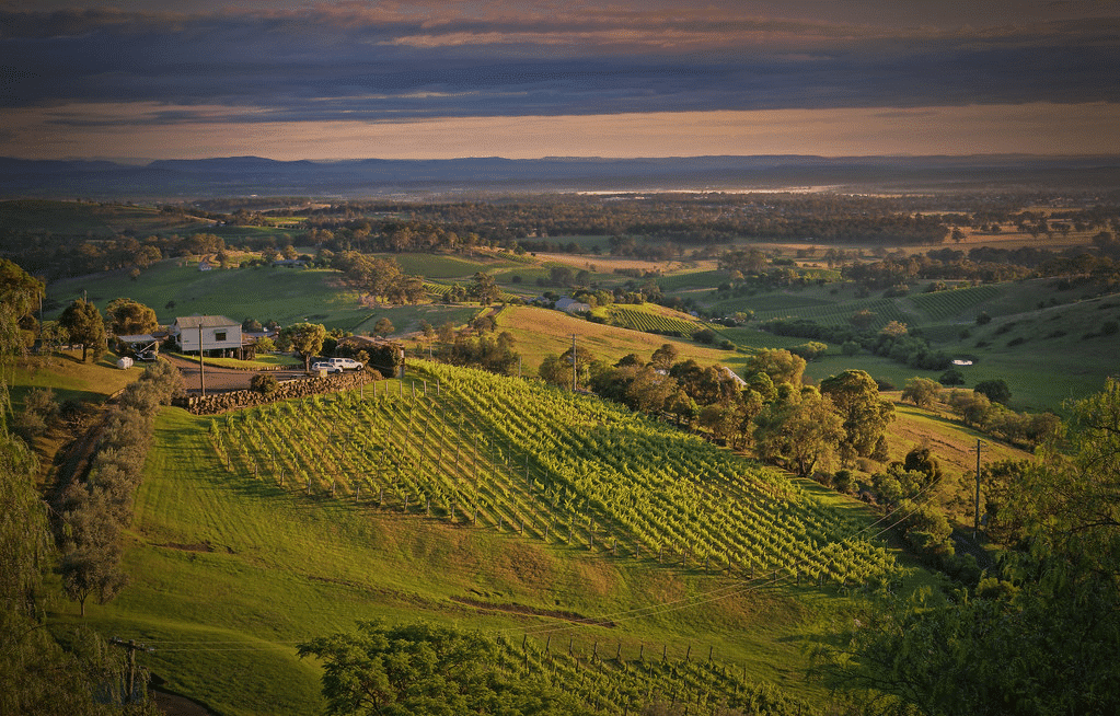 Beyond the Wine: Discovering Organic Spirits at Hunter Distillery