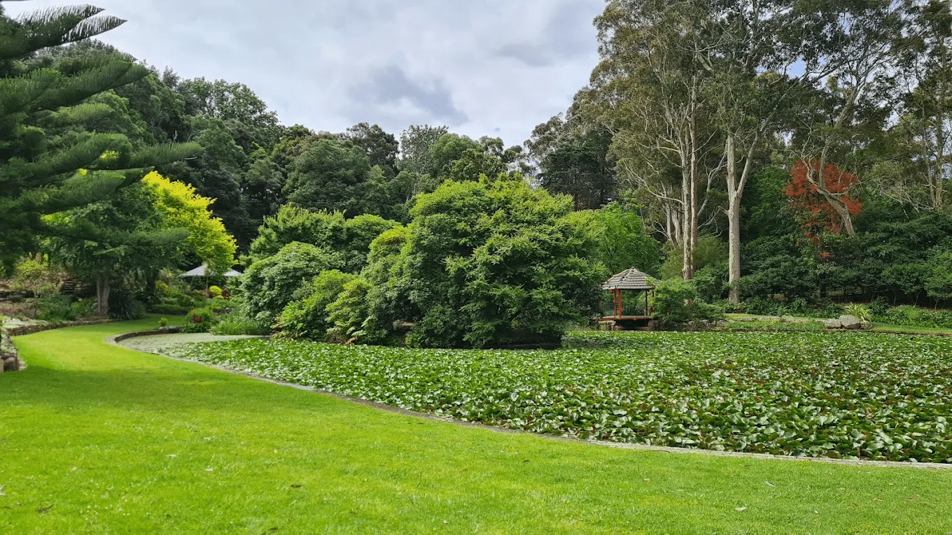 Lush green park in Wollongong for senior leisure
