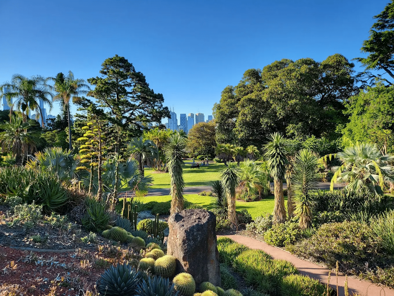 Lush green park with numerous trees in Melbourne