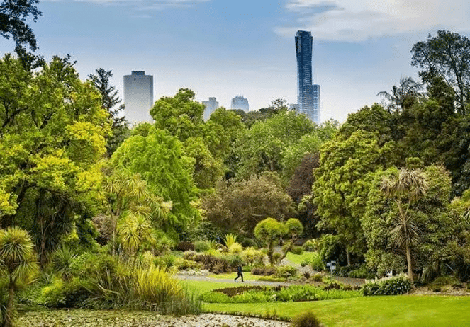 Lush green park with pond and building in Melbourne