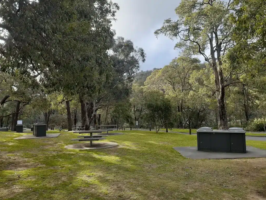 Lush park with trees and benches in Perth