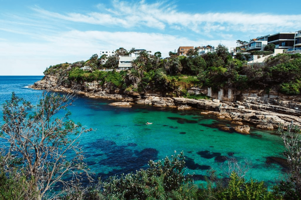 Peaceful waterfront view in Sydney with trees and city buildings