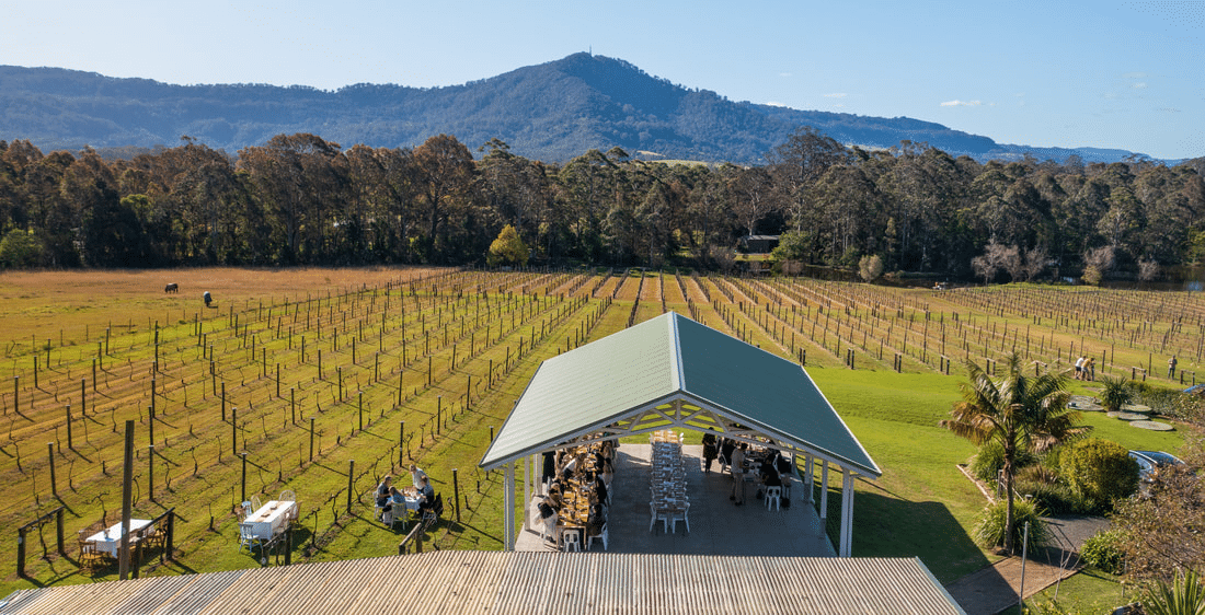 People enjoying a picnic at a winery in Wollongong
