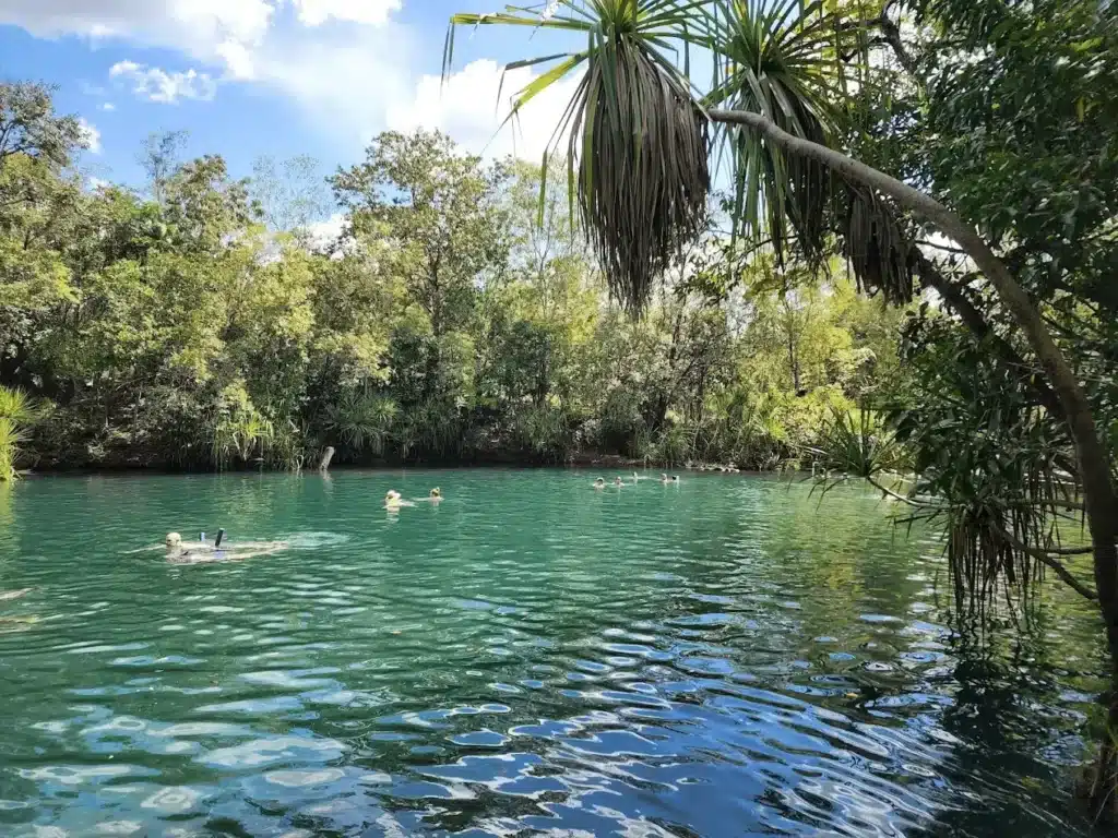People swimming in a natural water body near Darwin
