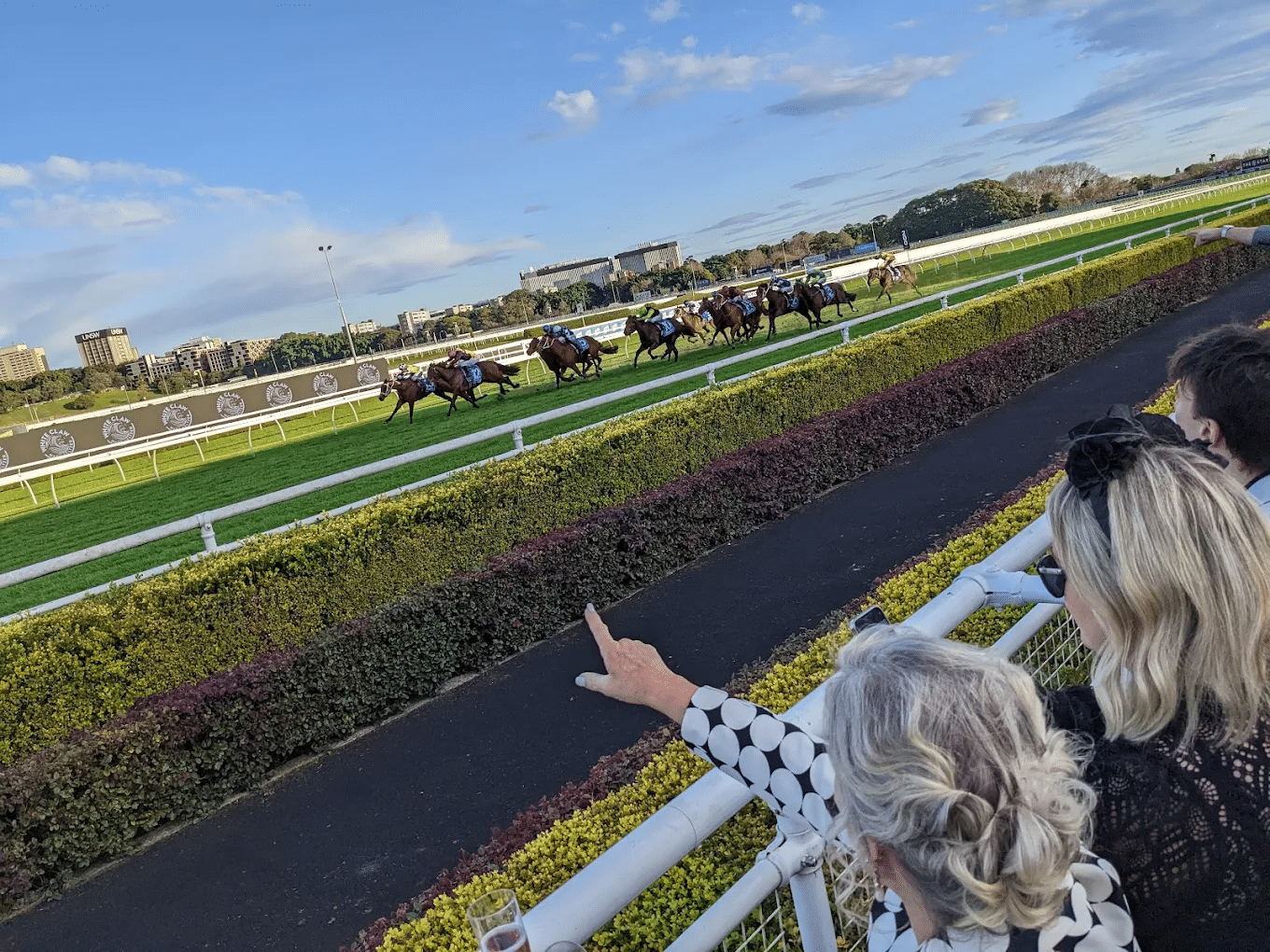People watching horse race at Randwick racecourse