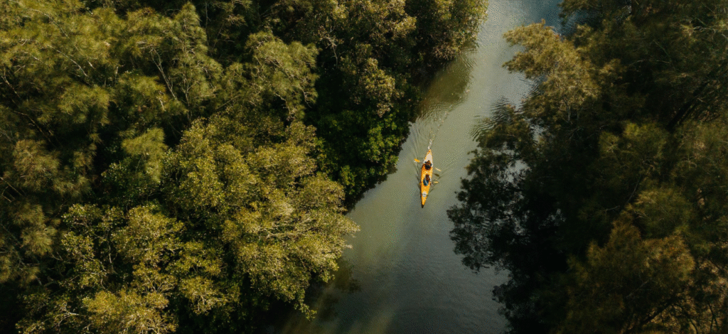 Person kayaking on river in forested area