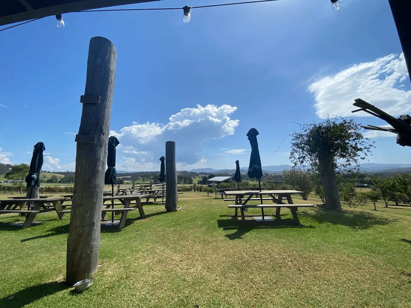 Picnic tables in lush green field at Wollongong winery