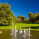 Pond in park during church group outing in perth