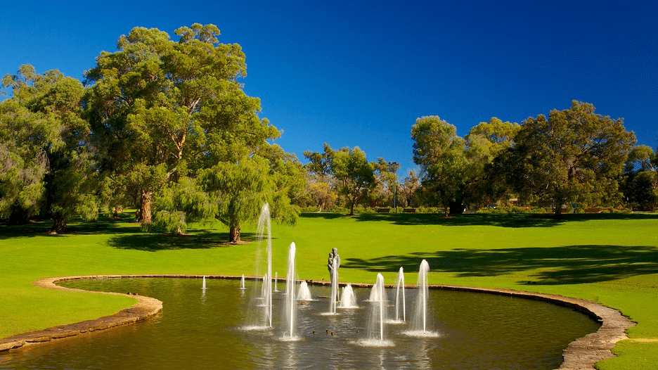 Pond in park during church group outing in perth