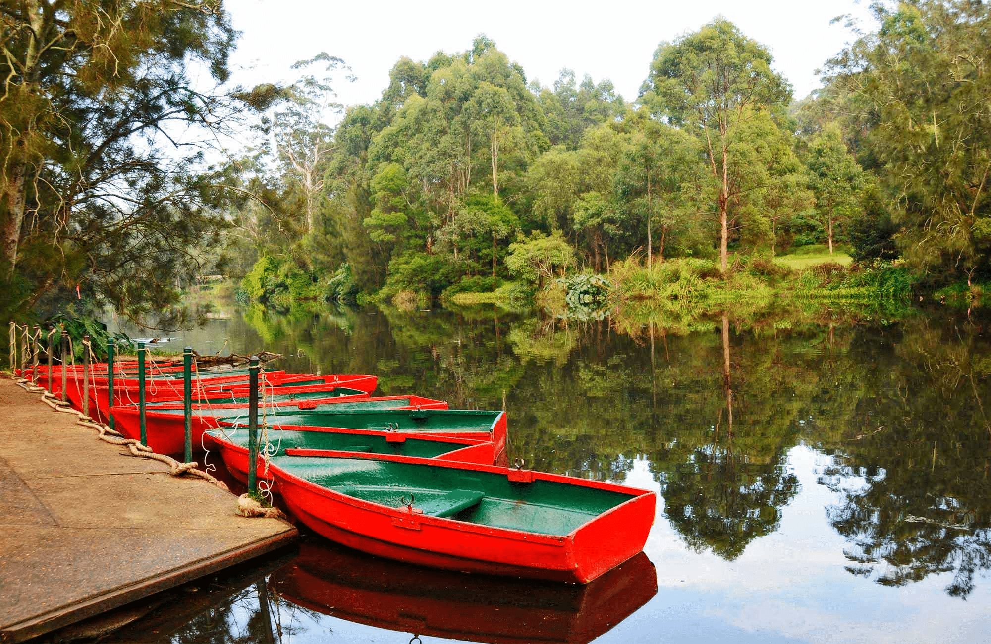Red boats lined up on a tranquil lake in Sydney