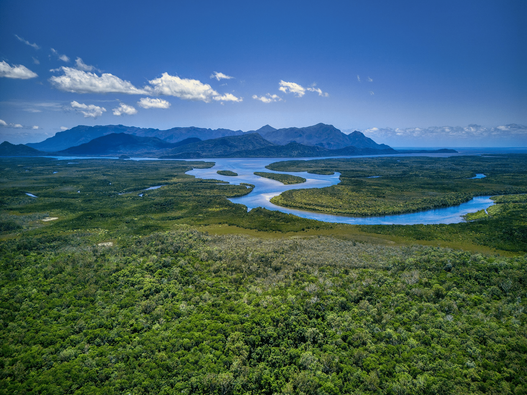 River flowing through forest on Townsville day trip