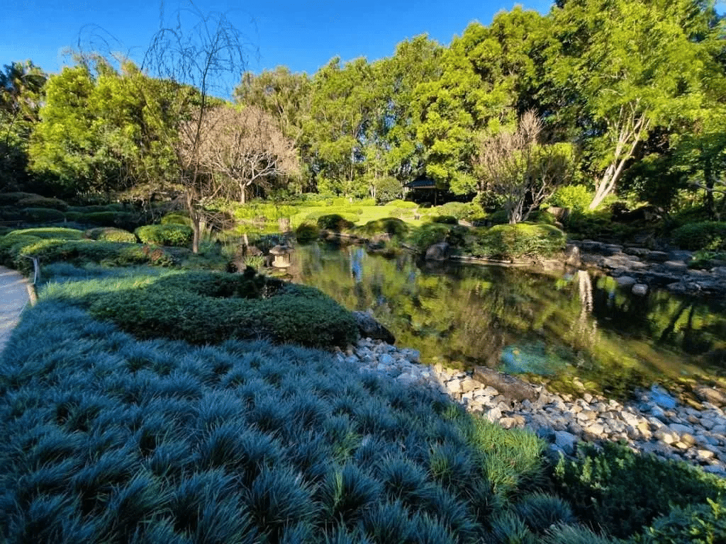 River flowing through green park in Brisbane
