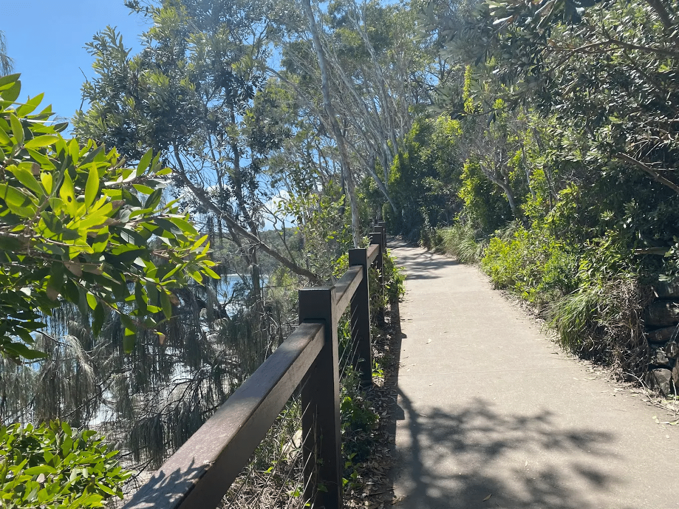 Scenic coastal path beside water in Sunshine Coast