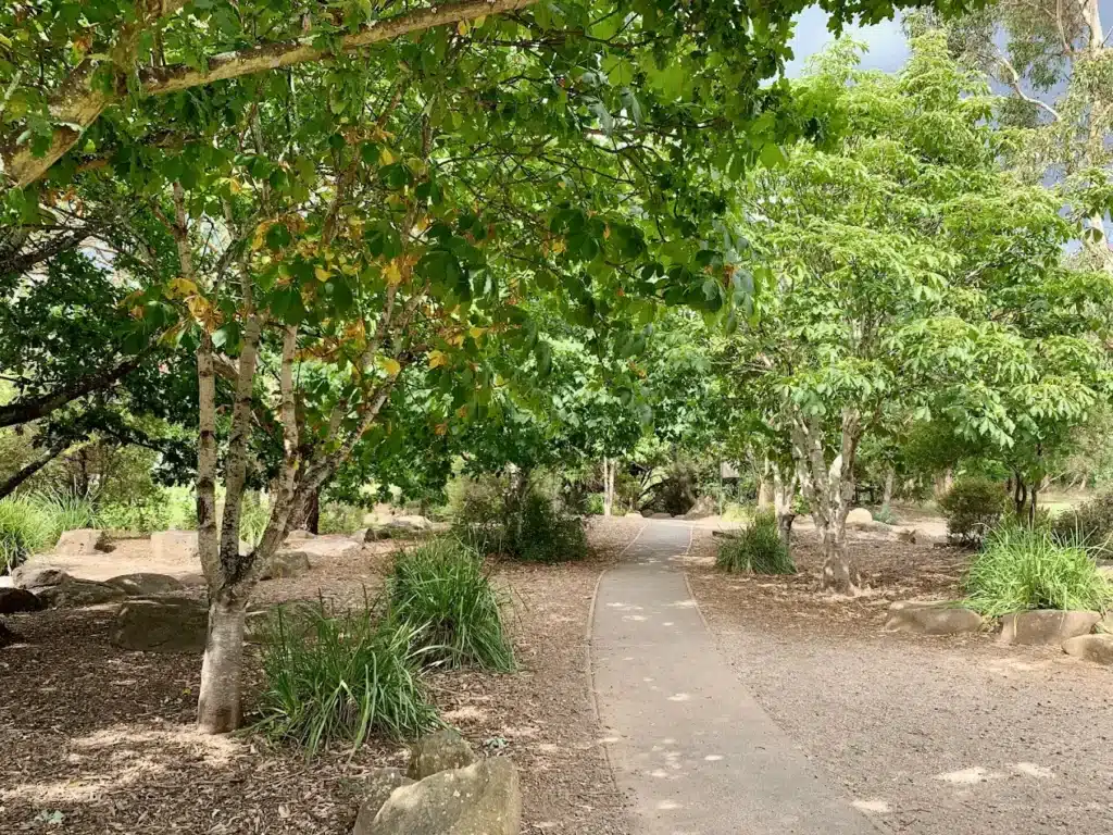 Scenic dirt path through forest for church group outing in Launceston