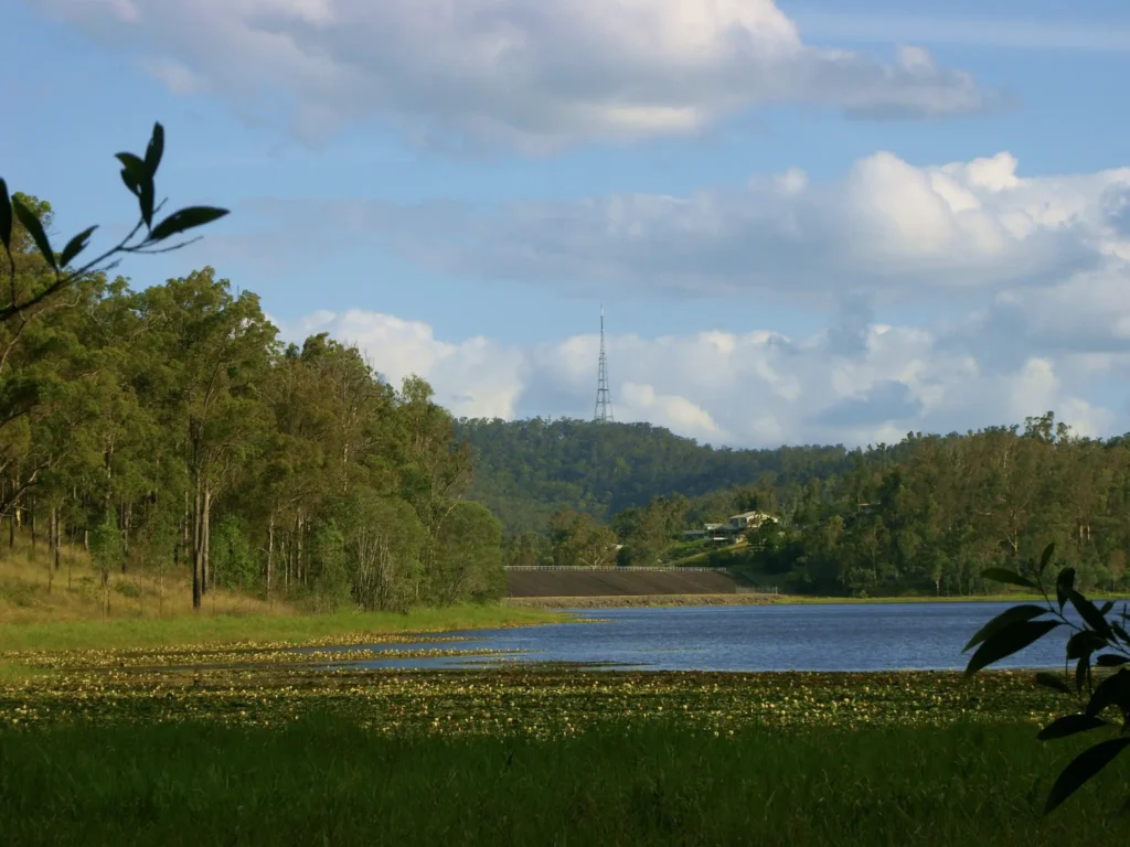 Scenic lake view amidst lush trees in Brisbane
