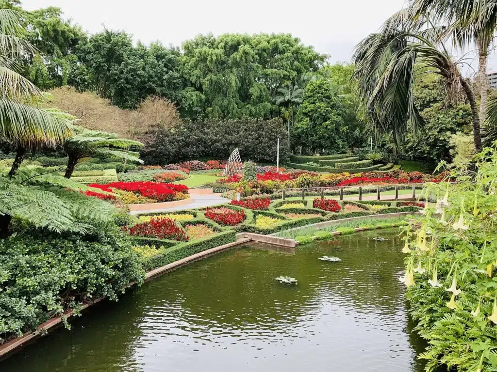Scenic pond in Brisbane surrounded by lush greenery and flowers