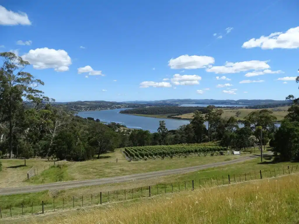 Scenic river and vineyard in Launceston