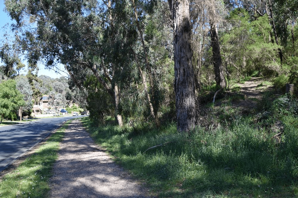 Scenic road in Melbourne's Maroondah with trees and grass