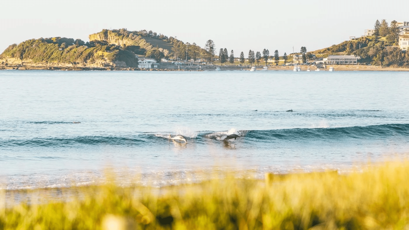 Senior citizens surfing on a wave at central coast