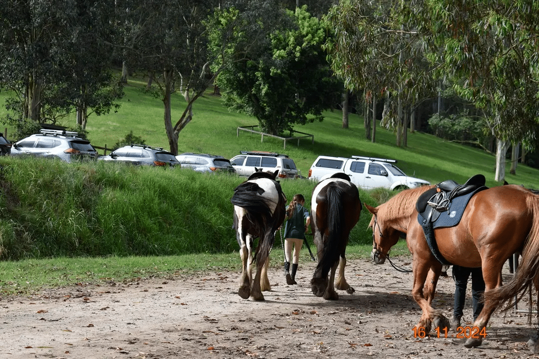 Senior-friendly scenic trail with horses on dirt road