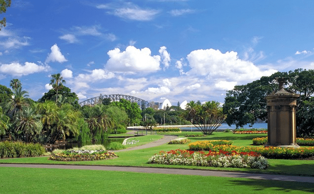 Seniors Activities Sydney: Best Days Out for Senior Citizens
