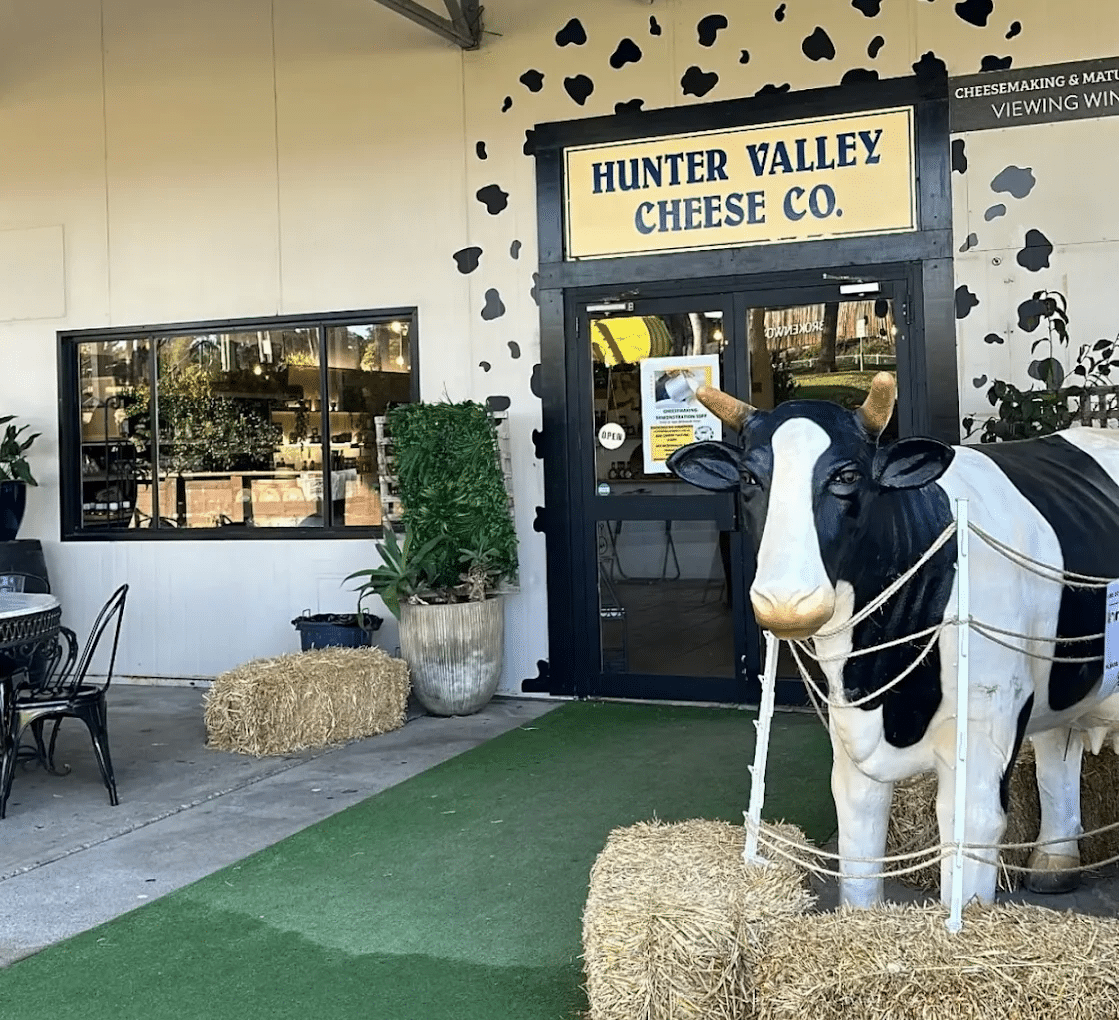 Statue of cow outside Newcastle restaurant during Hunter Valley food tour
