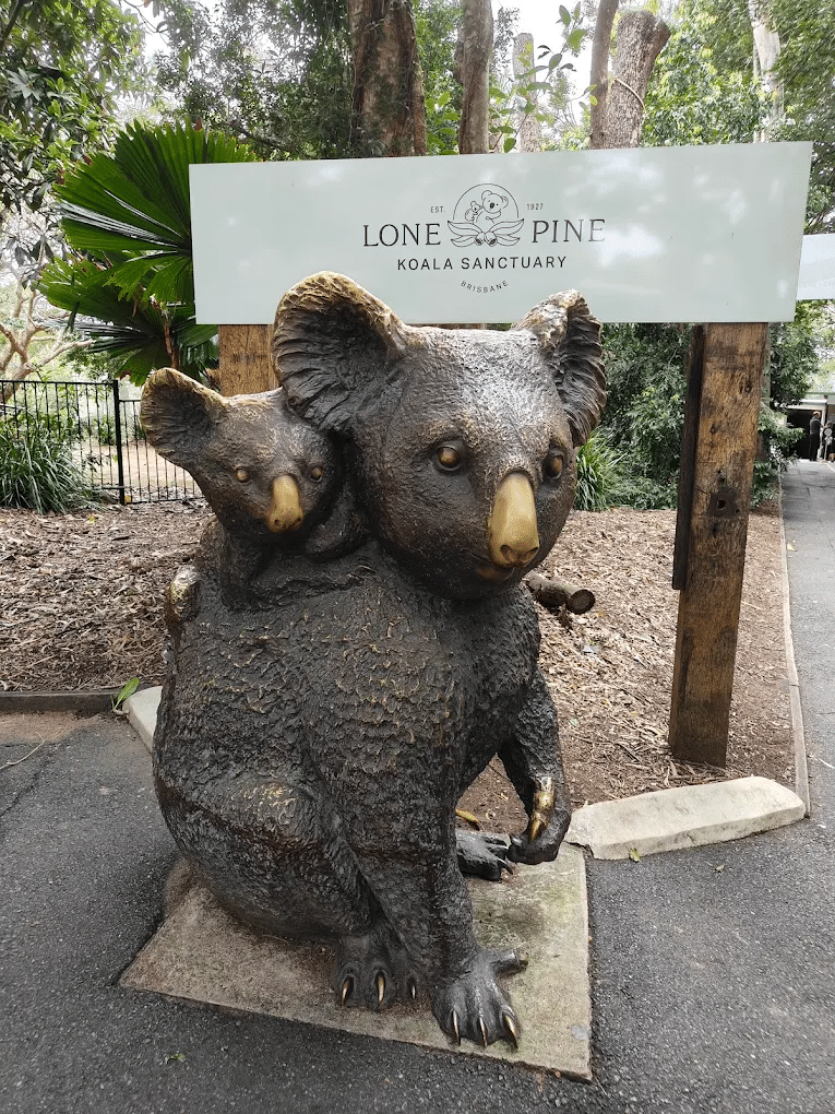 Statue of two koalas in Brisbane travel guide