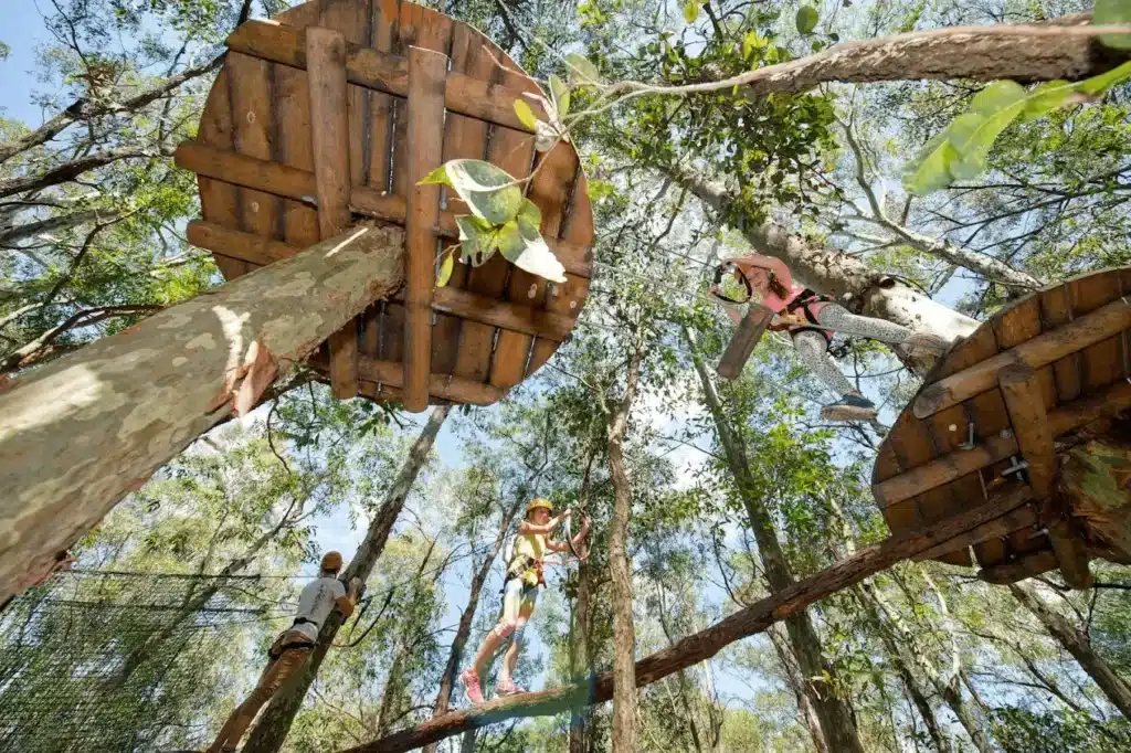 Students navigating a forest rope course during a Newcastle school excursion