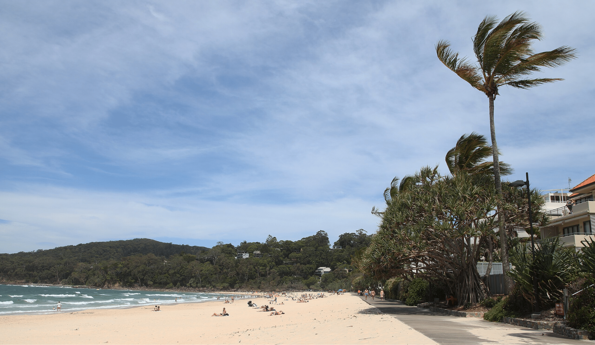 Sunny beach with palm trees and tourists on Sunshine Coast