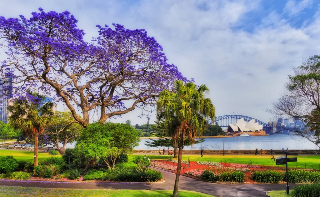Sydney opera house and harbour bridge view