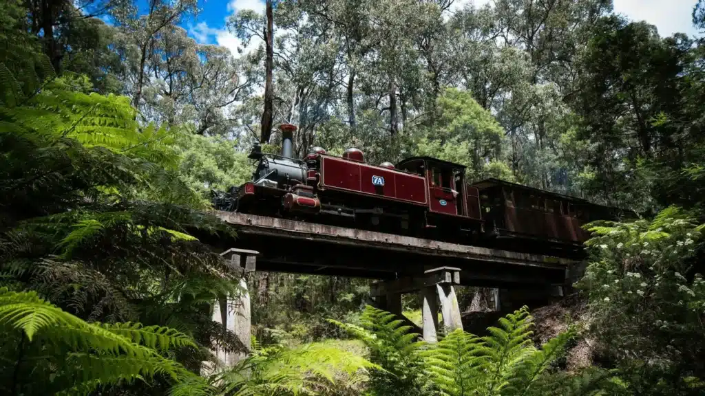 Train crossing a forest bridge in Cardinia