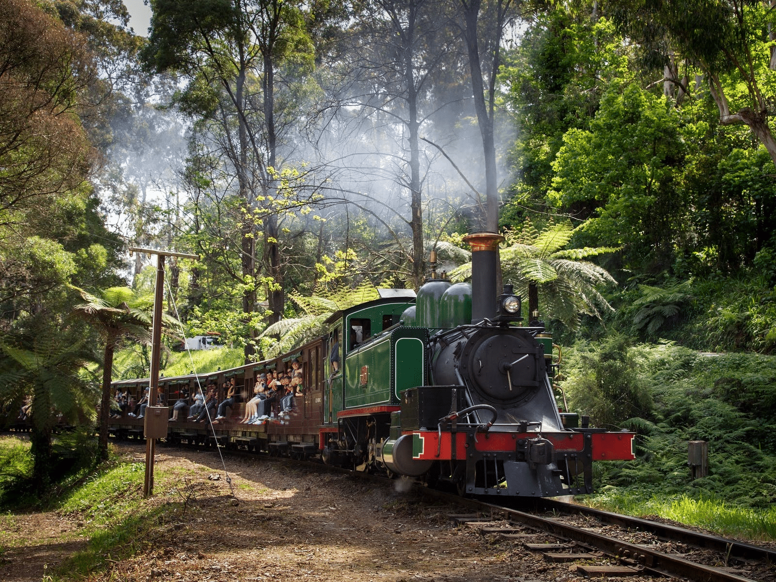 Train journey through Yarra Ranges forest in Melbourne