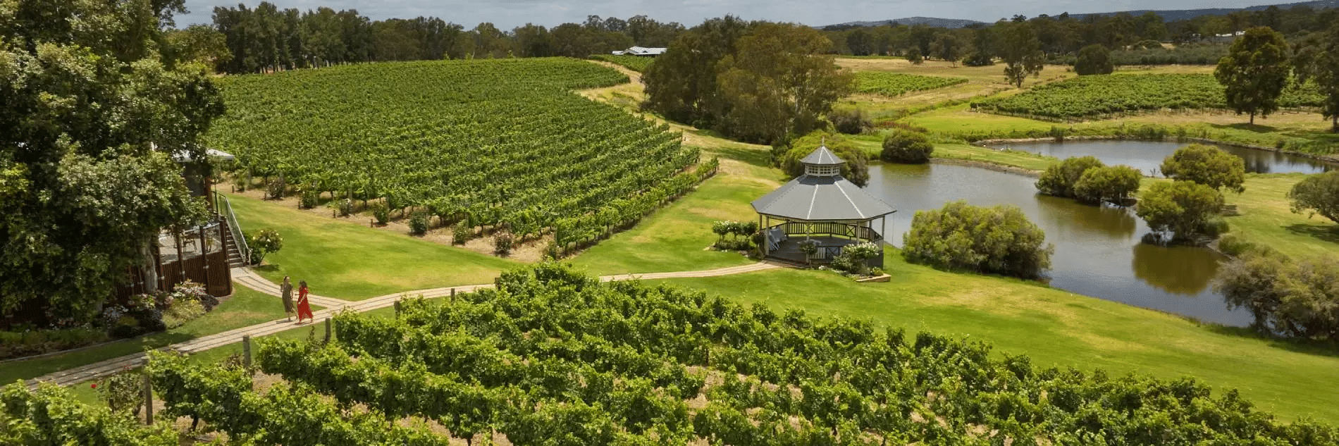 Vineyard and lake aerial view near Perth
