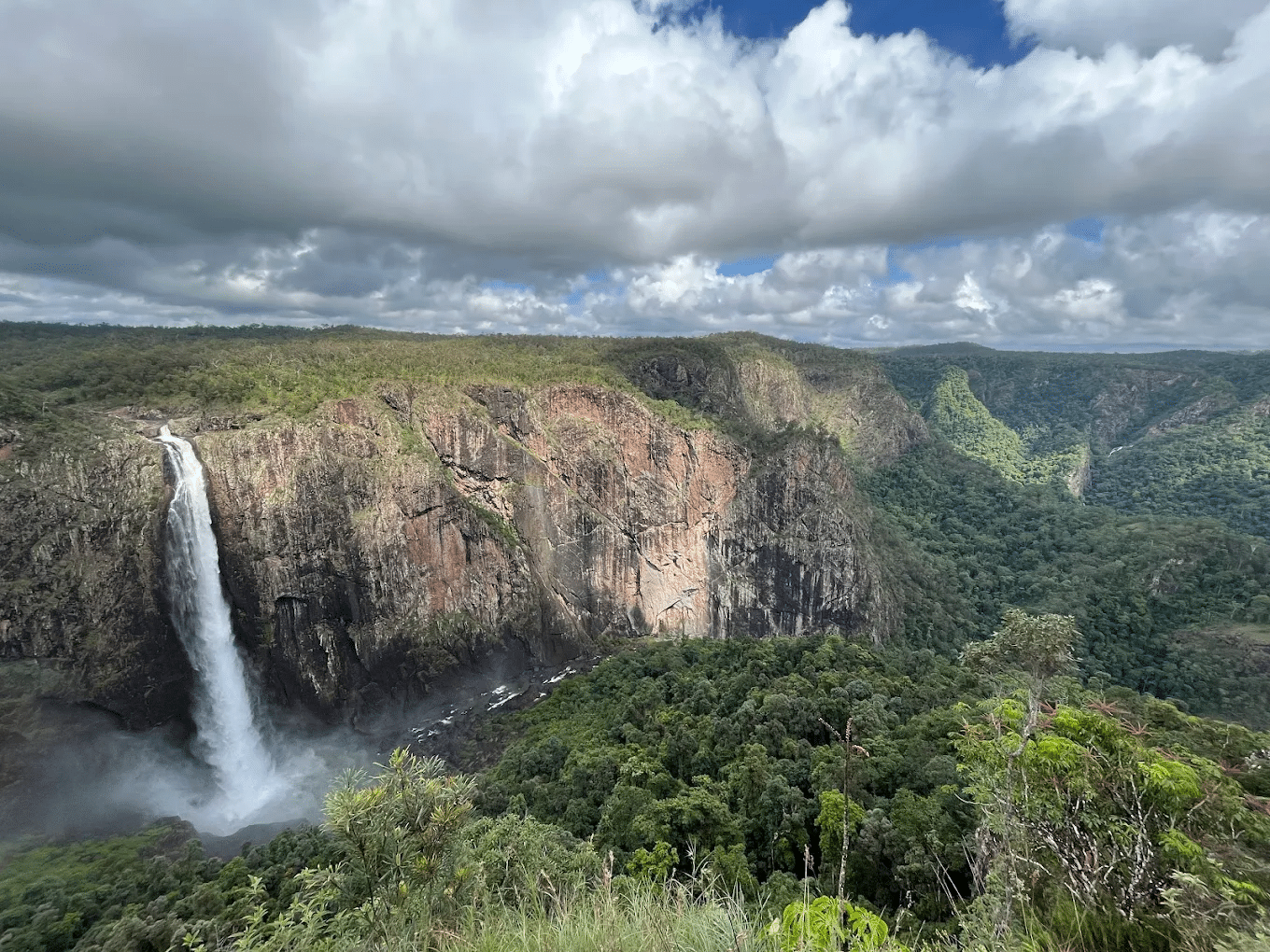 Waterfall surrounded by lush forest in Townsville