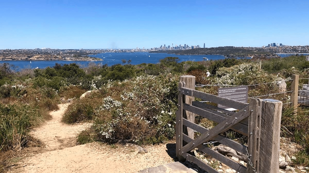Wooden bench on hill in Manly with scenic view