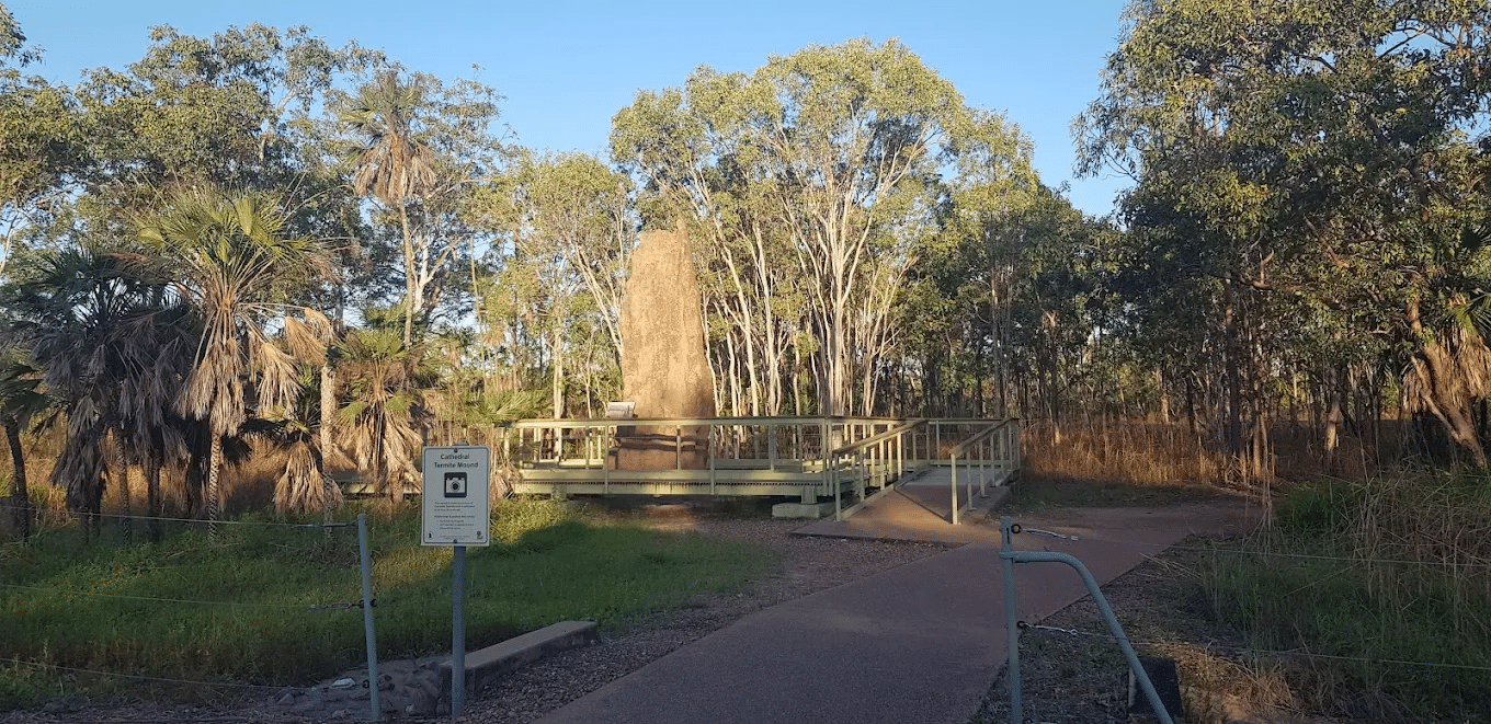 Wooden bridge on a forest trail during a Darwin group day trip