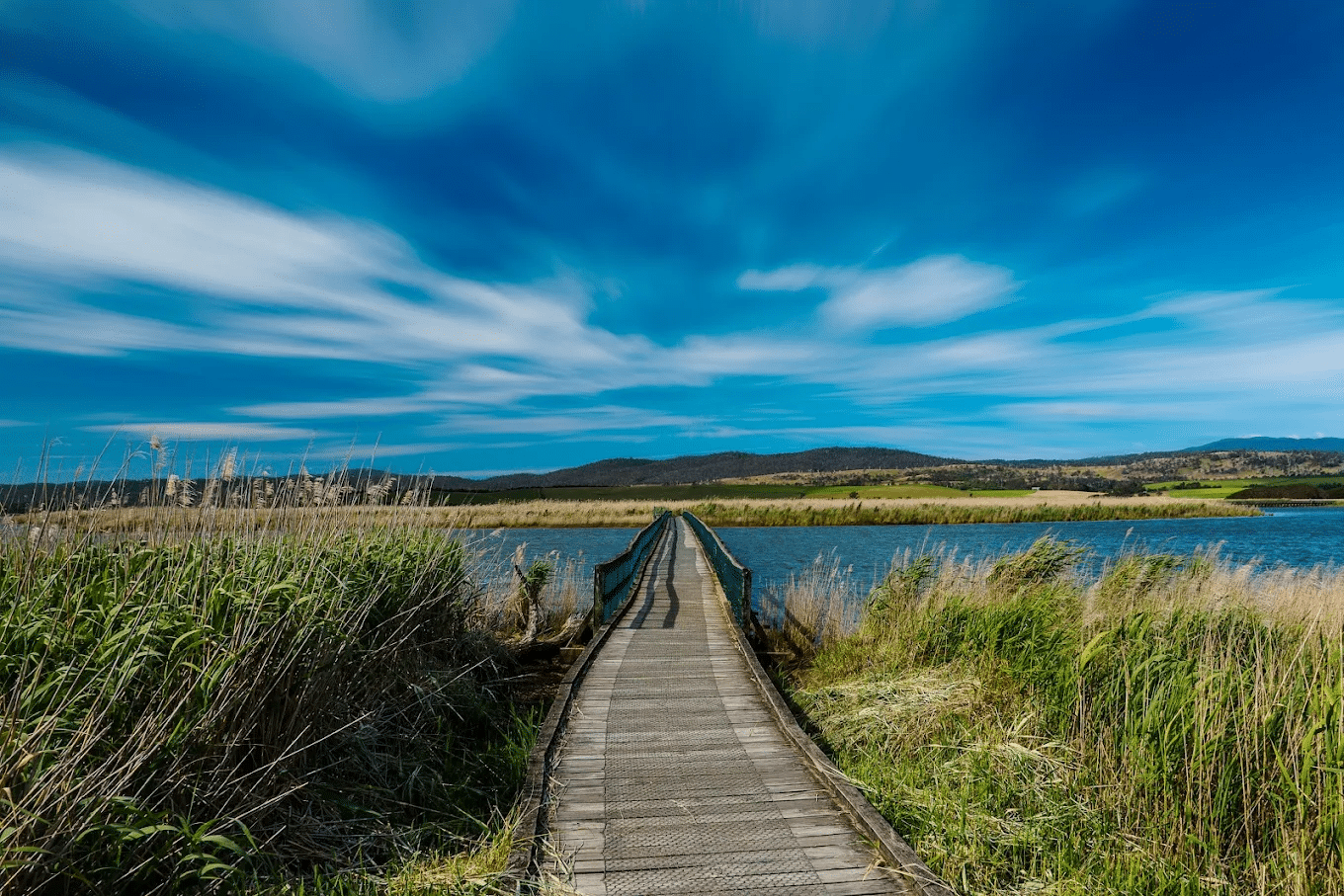 Wooden bridge over water in Launceston nature setting