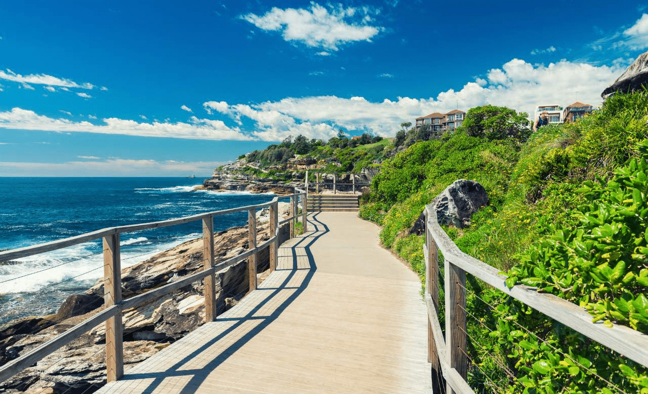 Wooden walkway by the ocean on a sunny day in Sydney
