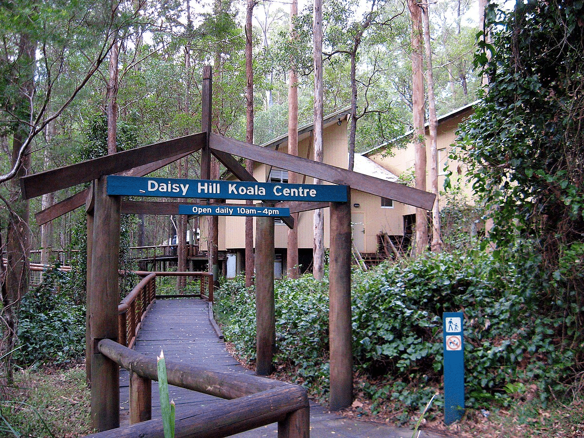 Wooden walkway to a building in Brisbane woods
