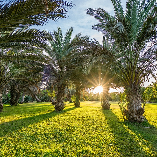 anderson park botanical gardens