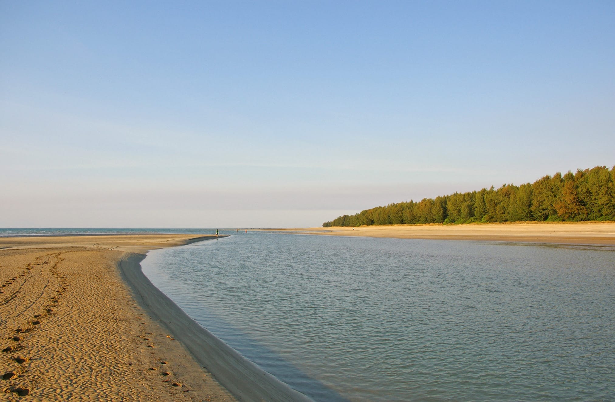casuarina beach
