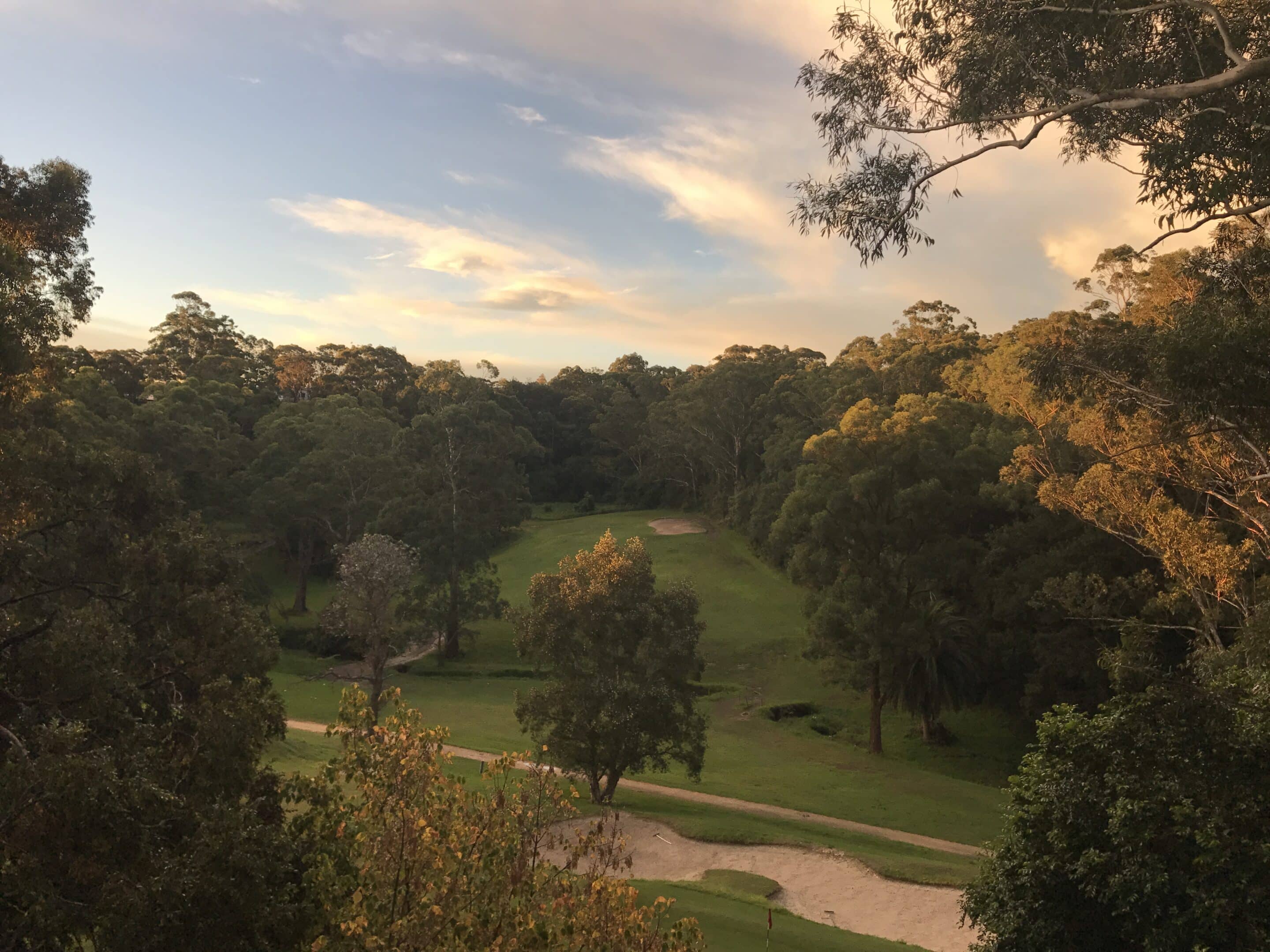 chatswood golf club scaled