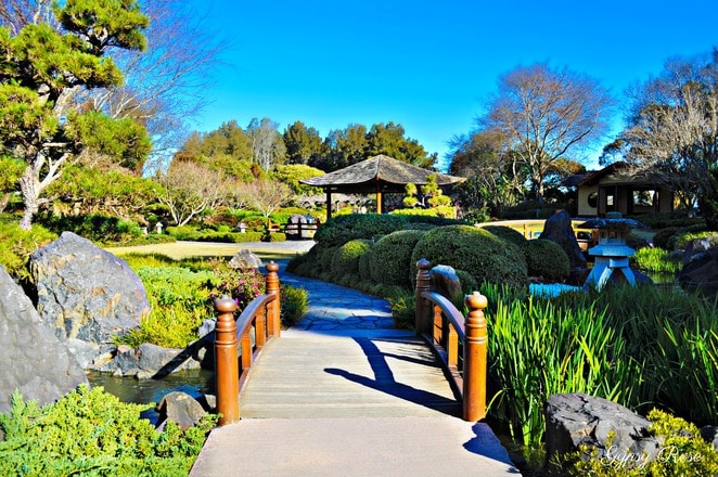 gosford regional gallery edogawa commemorative garden