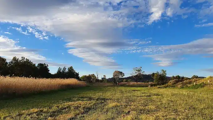 jerrabomberra wetlands fyshwick access